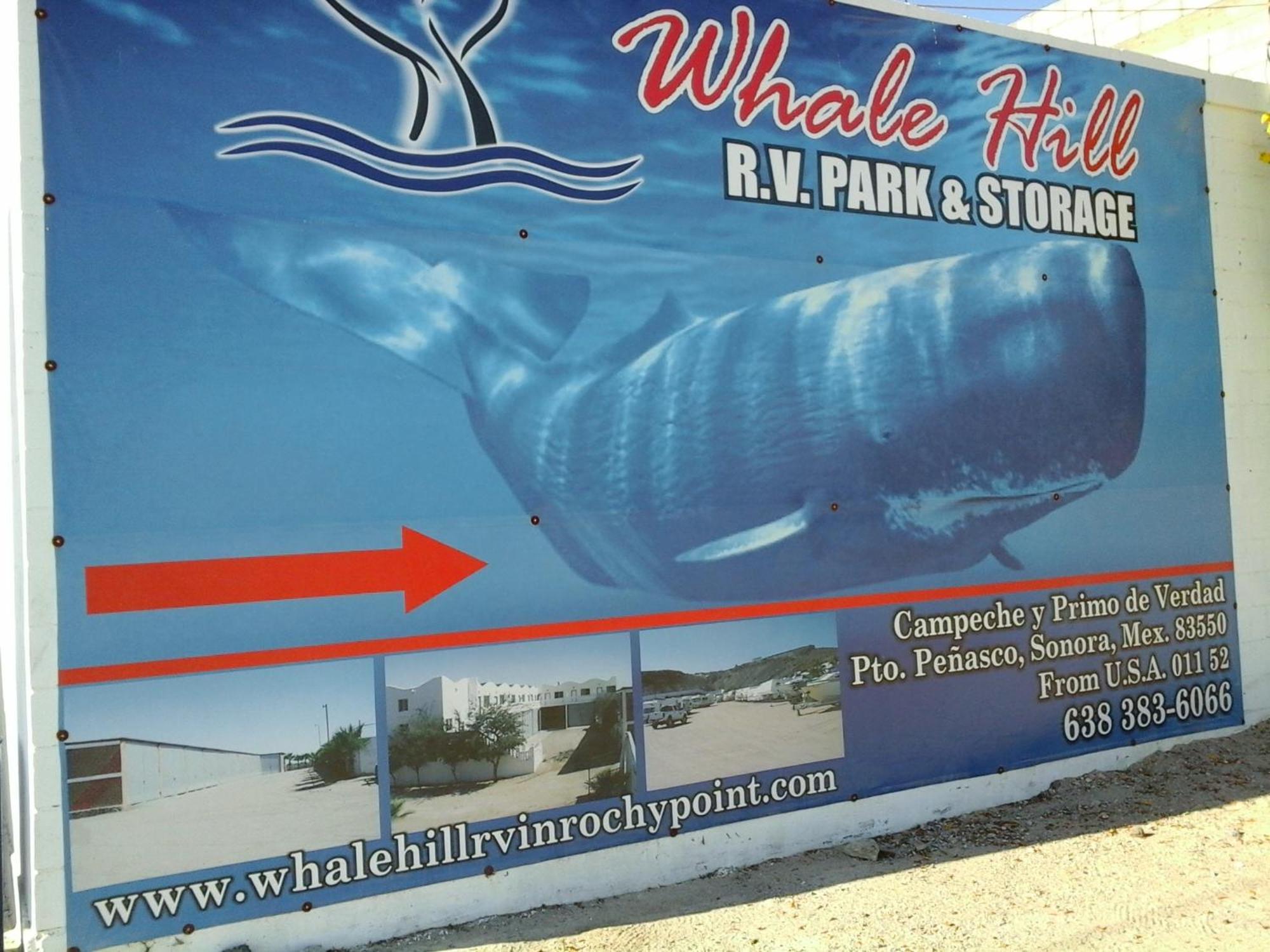 Aparthotel Whale Hill Puerto Peñasco Zimmer foto